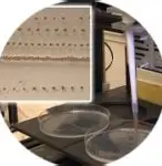 包含从亚特兰大冲刺阶段内部沟通到马德里竞技回应争议备战亚冠，拉齐奥复出首秀备战法甲的词条